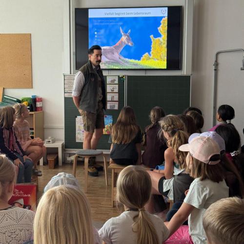 Projekt Wildwiese