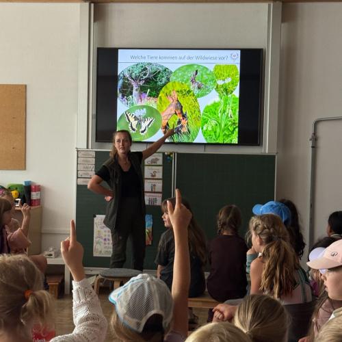 Projekt Wildwiese