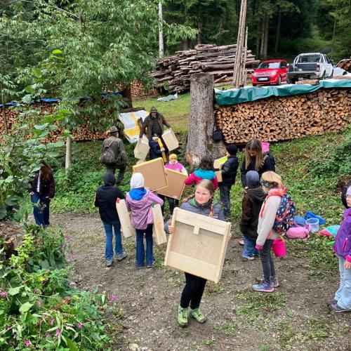 Projekt Wildwiese