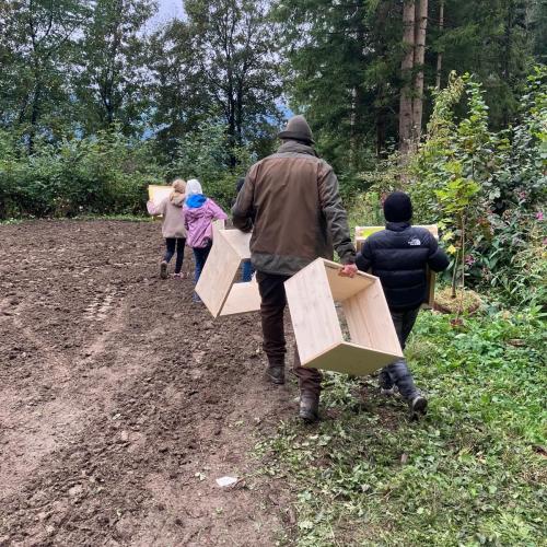 Projekt Wildwiese