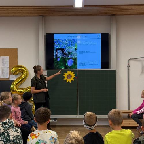 Projekt Wildwiese