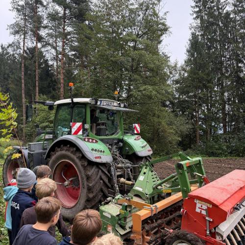 Projekt Wildwiese