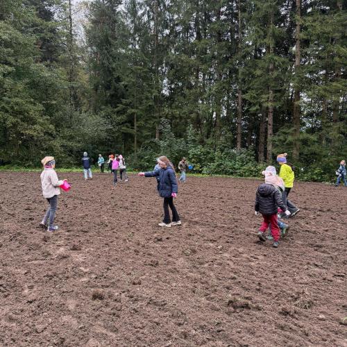 Projekt Wildwiese