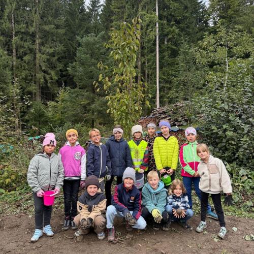 Projekt Wildwiese