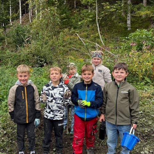Projekt Wildwiese