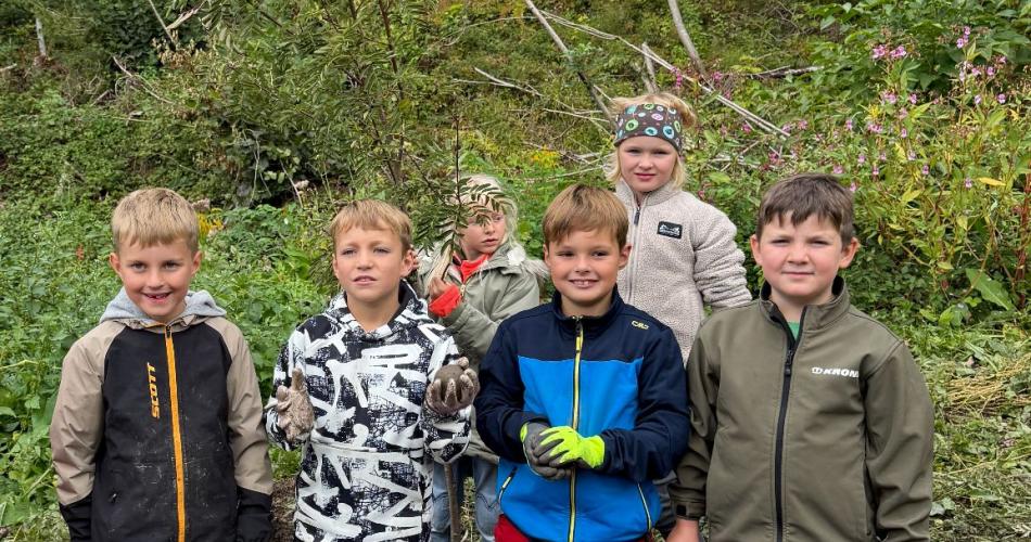 Projekt Wildwiese